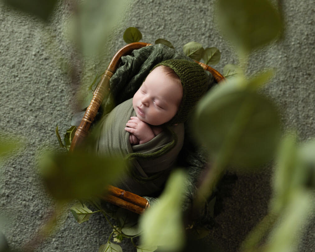 newborn baby in green in brown basket and leaves photography