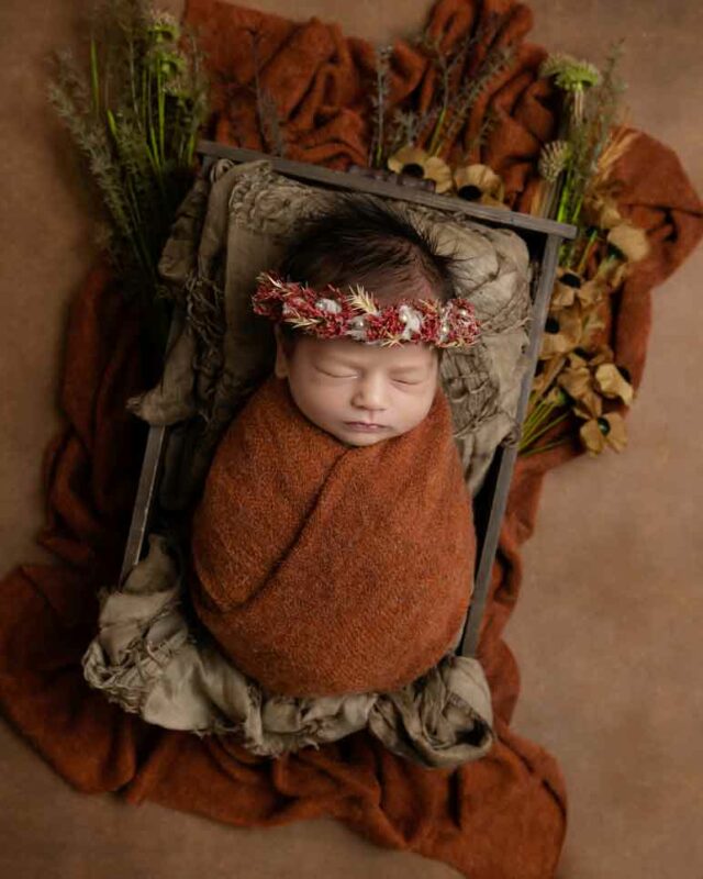 Pet Friendly, Kid Friendly, Amazing Photography Studio in Sydney KS 07681 640x800